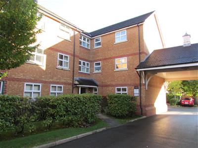 Picture 9